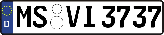 MS-VI3737