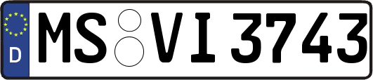 MS-VI3743