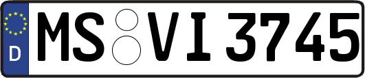 MS-VI3745
