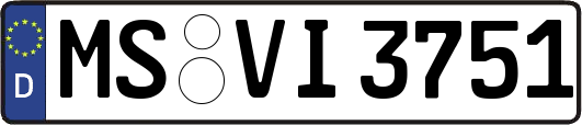 MS-VI3751