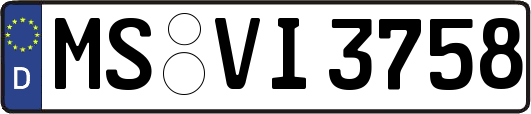MS-VI3758