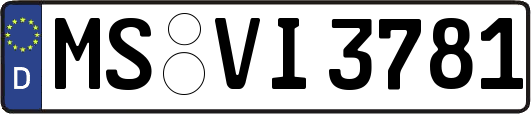 MS-VI3781