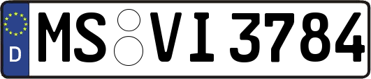 MS-VI3784
