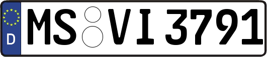MS-VI3791