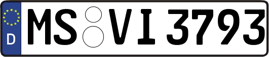 MS-VI3793