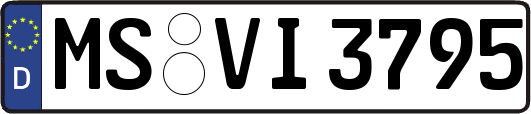 MS-VI3795