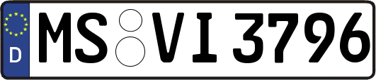 MS-VI3796