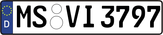 MS-VI3797