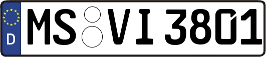 MS-VI3801