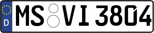MS-VI3804