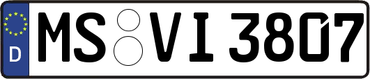 MS-VI3807