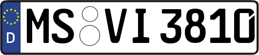 MS-VI3810