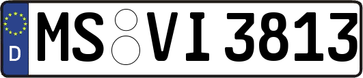MS-VI3813