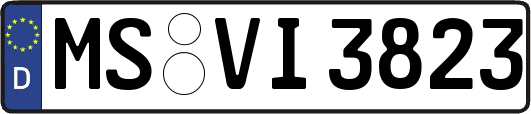 MS-VI3823