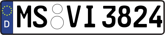 MS-VI3824