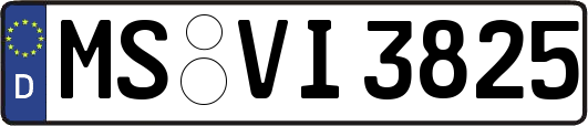 MS-VI3825