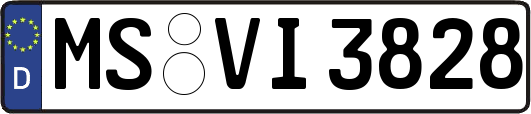 MS-VI3828