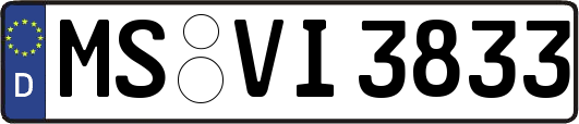 MS-VI3833