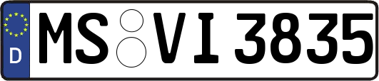 MS-VI3835