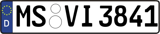 MS-VI3841