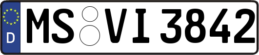 MS-VI3842
