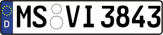 MS-VI3843