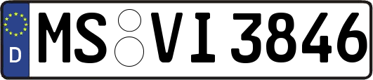 MS-VI3846
