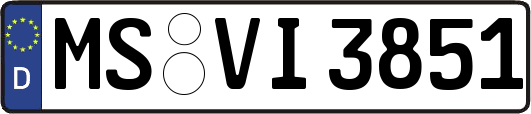 MS-VI3851