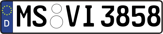 MS-VI3858