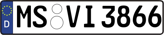 MS-VI3866