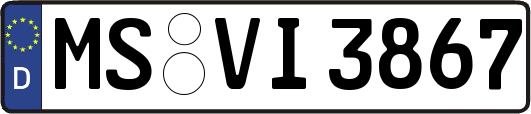 MS-VI3867
