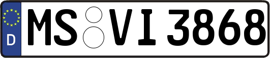 MS-VI3868