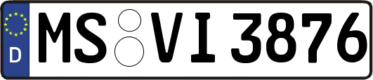 MS-VI3876
