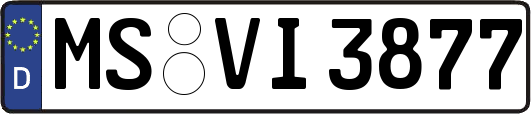 MS-VI3877