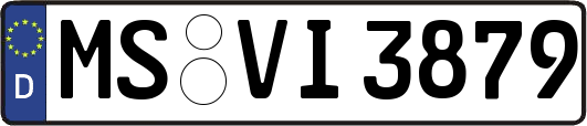 MS-VI3879