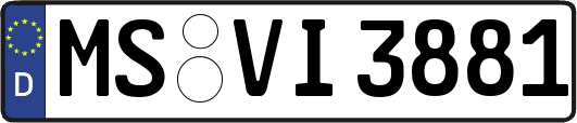 MS-VI3881
