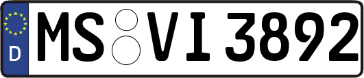 MS-VI3892