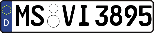 MS-VI3895