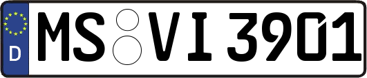 MS-VI3901