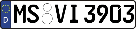 MS-VI3903