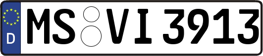 MS-VI3913