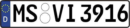 MS-VI3916