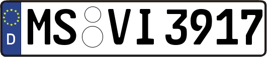 MS-VI3917