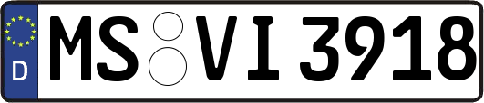 MS-VI3918