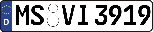 MS-VI3919