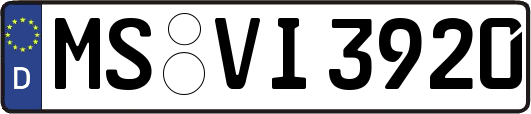 MS-VI3920