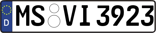 MS-VI3923