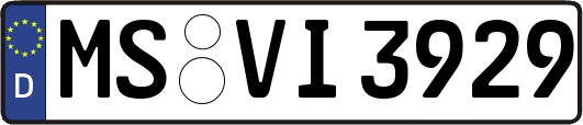 MS-VI3929