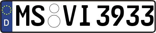 MS-VI3933