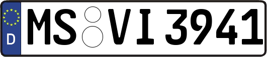 MS-VI3941